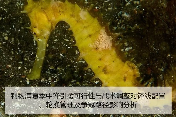 利物浦夏季中锋引援可行性与战术调整对锋线配置、轮换管理及争冠路径影响分析