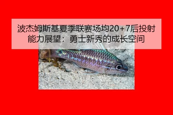 波杰姆斯基夏季联赛场均20+7后投射能力展望：勇士新秀的成长空间